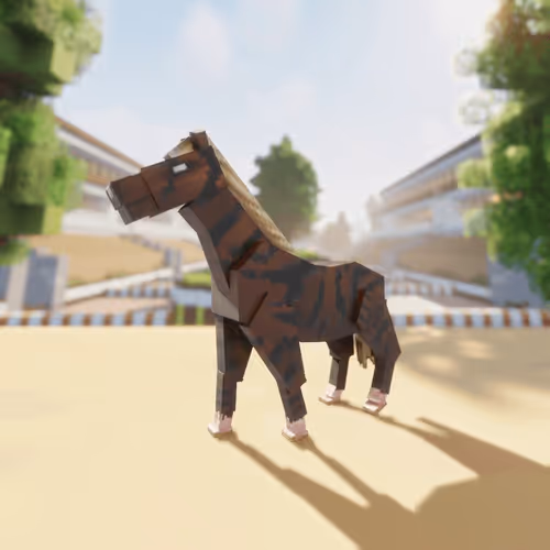 Bera Horses