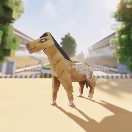 Bera Horses