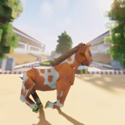 Bera Horses