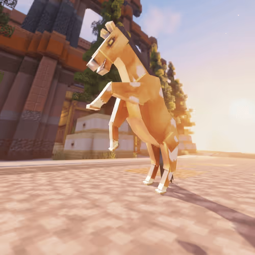Bera Horses