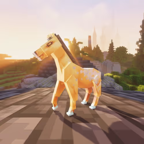 Bera Horses