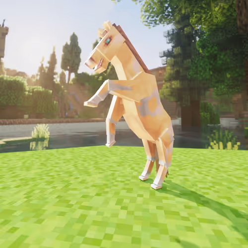 Bera Horses