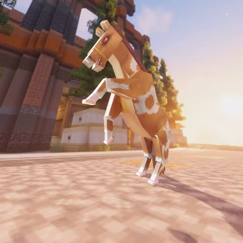 Bera Horses