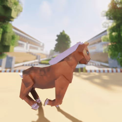Bera Horses