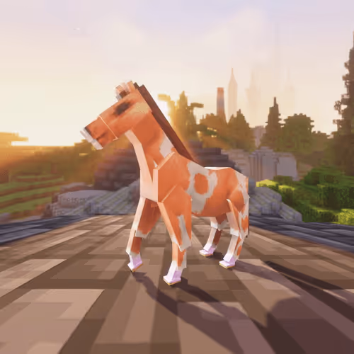 Bera Horses