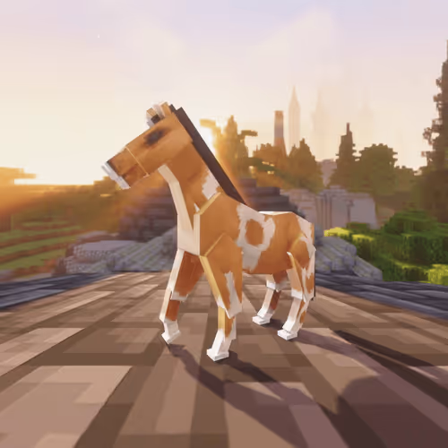 Bera Horses