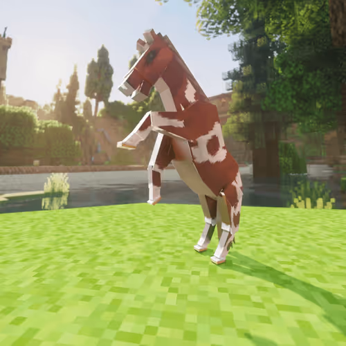 Bera Horses