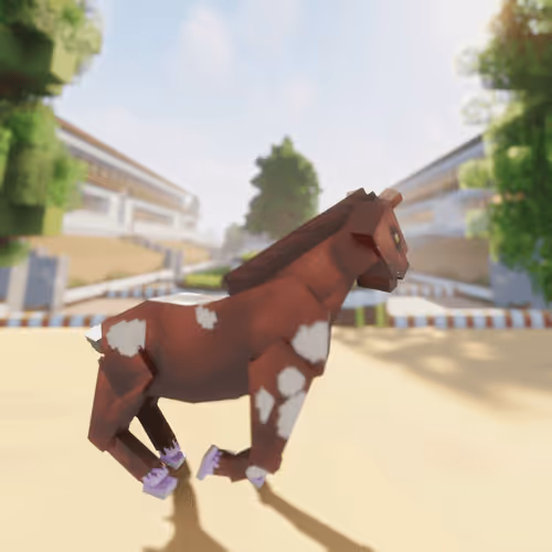 Bera Horses