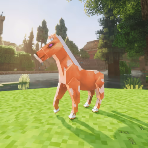 Bera Horses