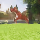 299