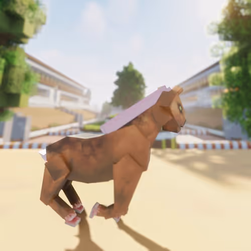 Bera Horses