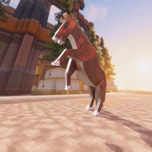 Bera Horses