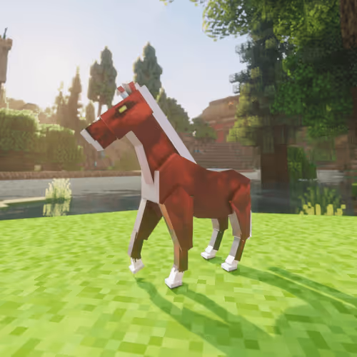Bera Horses
