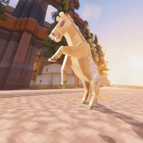 Bera Horses