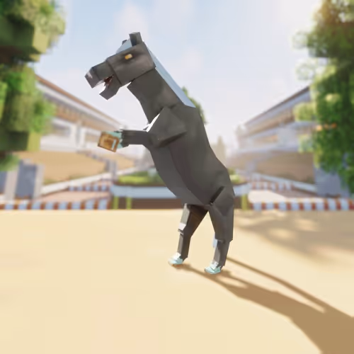 Bera Horses