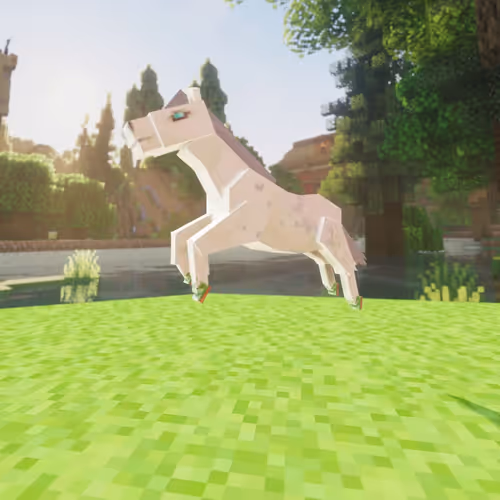 Bera Horses