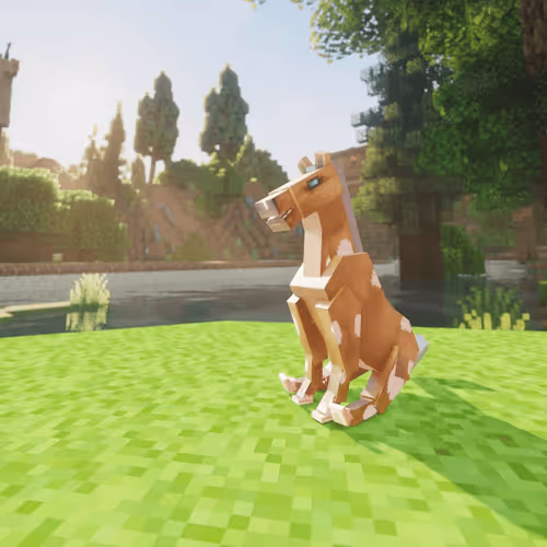 Bera Horses