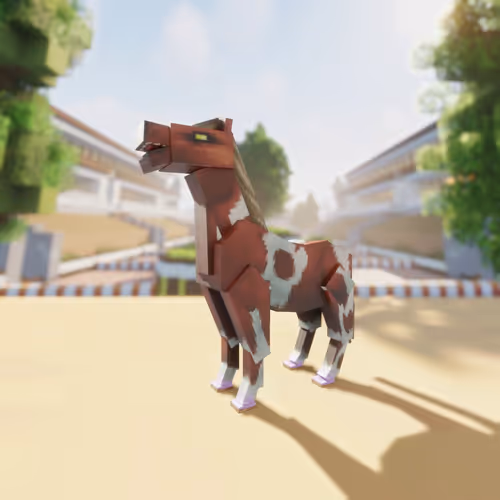 Bera Horses