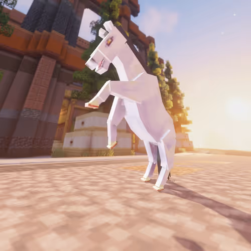Bera Horses