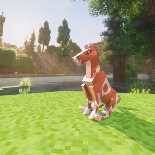 Bera Horses