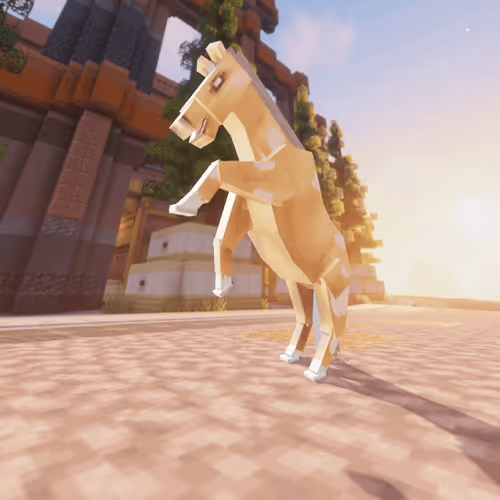 Bera Horses