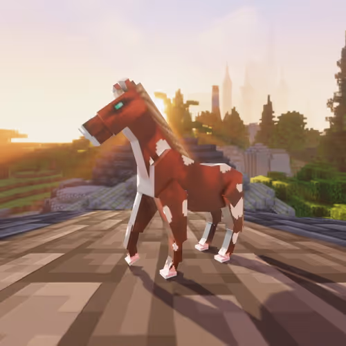 Bera Horses
