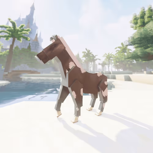 Bera Horses