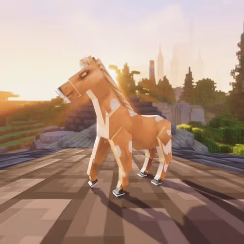 Bera Horses