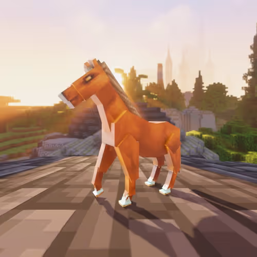Bera Horses
