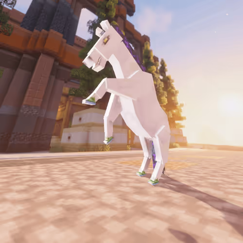 Bera Horses