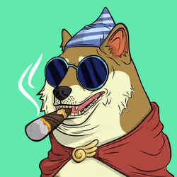 DOGGY #765