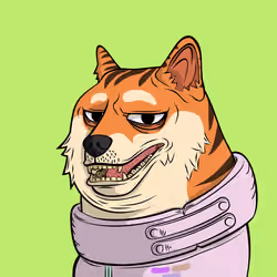 DOGGY #9508