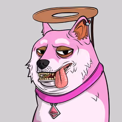 DOGGY #4723