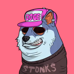 DOGGY #3647