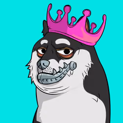 DOGGY #4678