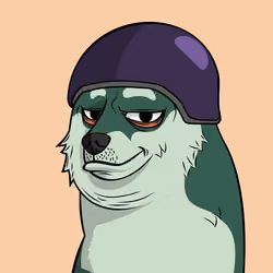 DOGGY #1243