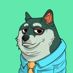 DOGGY #3484