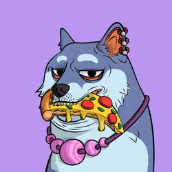 DOGGY #1582