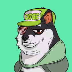 DOGGY #8262