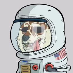 DOGGY #6615