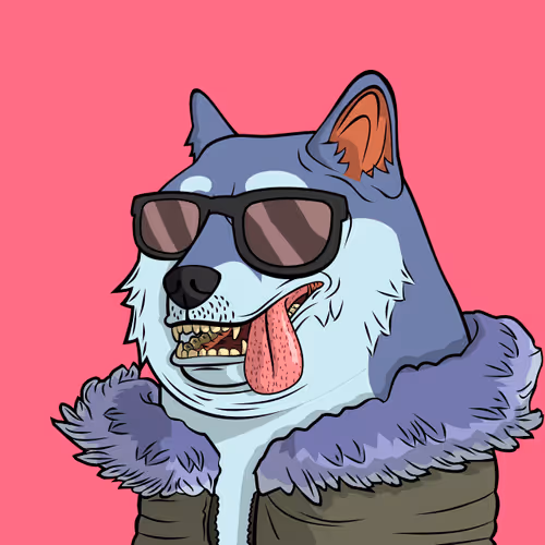 The Doge Pound