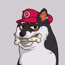DOGGY #5035
