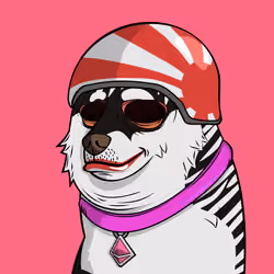 DOGGY #4315