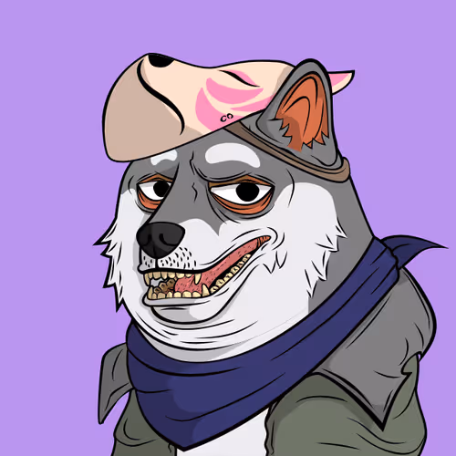 The Doge Pound