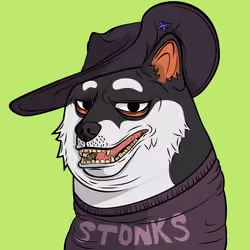 DOGGY #6739