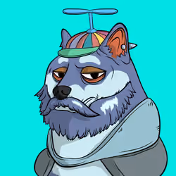DOGGY #3862