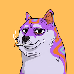 DOGGY #5016