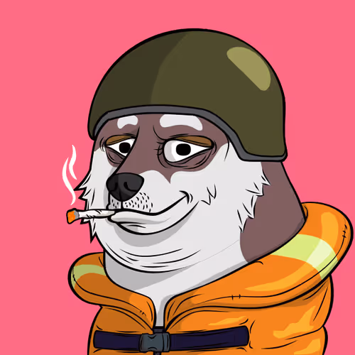 The Doge Pound