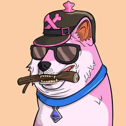 DOGGY #4805