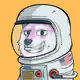 8145